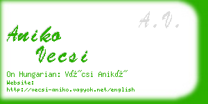 aniko vecsi business card